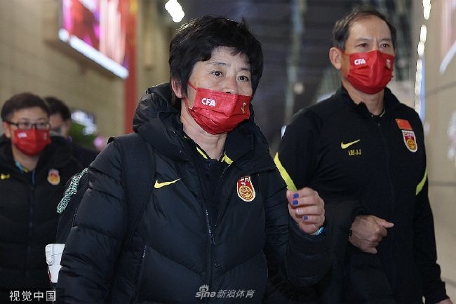 在19世纪马其顿的一个偏僻山村，一个生活在森林的年轻女巫对人类的生活充满了好奇，她意外地杀死了一个村民，然后用这位村民的皮肤装扮成了人类，这也完全激发了女巫的好奇心，她想要装扮成不同的人类来生活